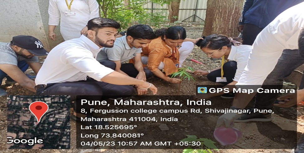  TREE PLANTATION