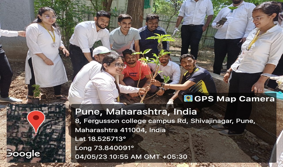  TREE PLANTATION