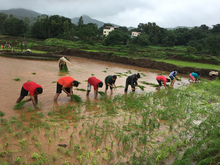 Environment Protection Drive