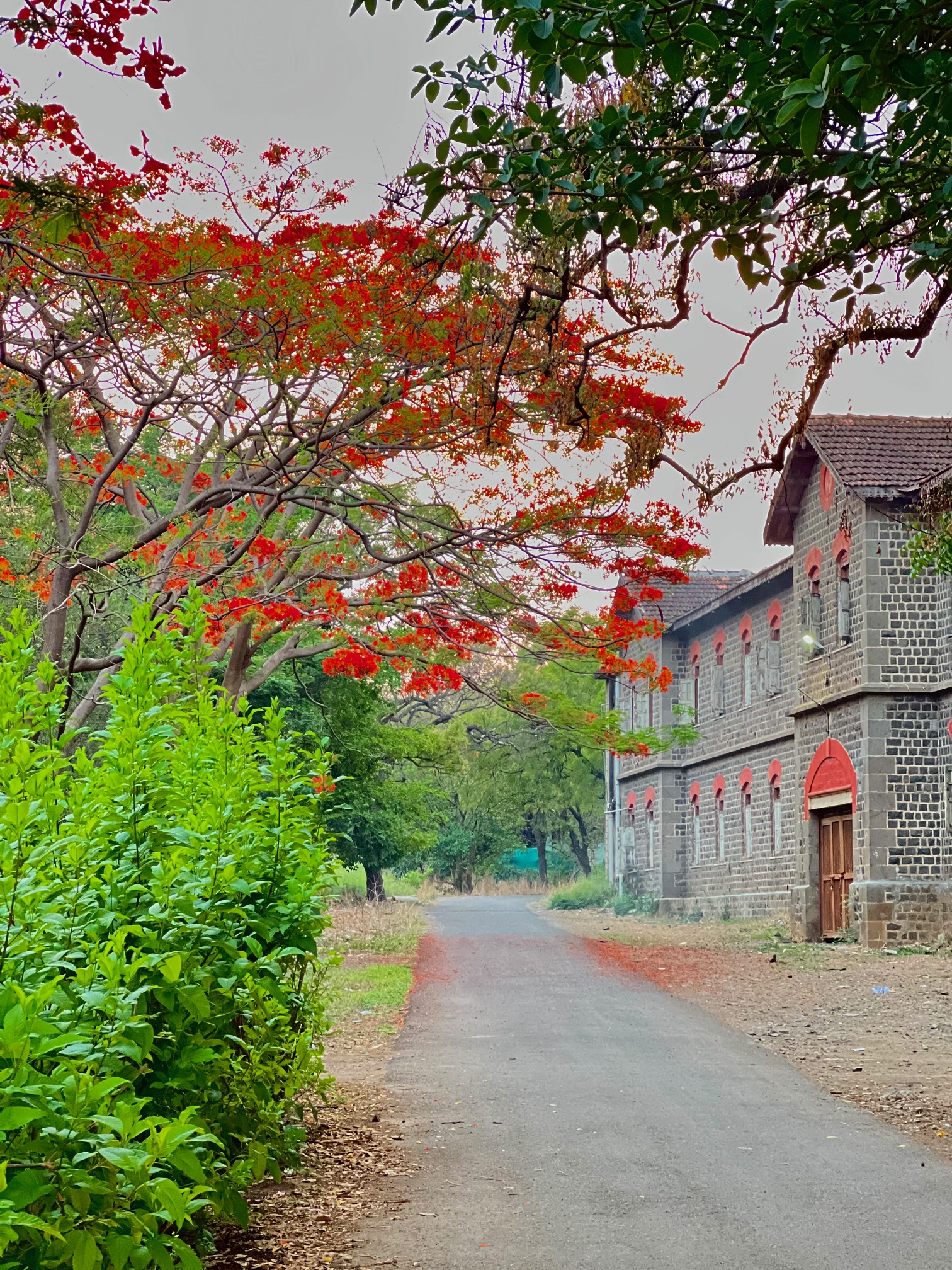 Campus